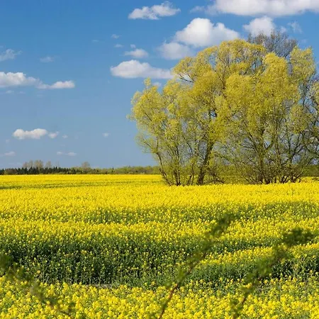 House Solvej Ferienhaus *